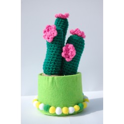 Pianta Grassa Cactus uncinetto